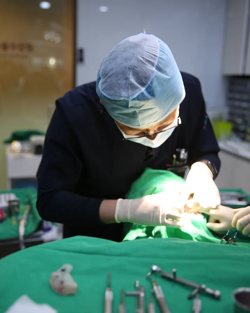 수술 조명 아래 식립을 진행하는 모습